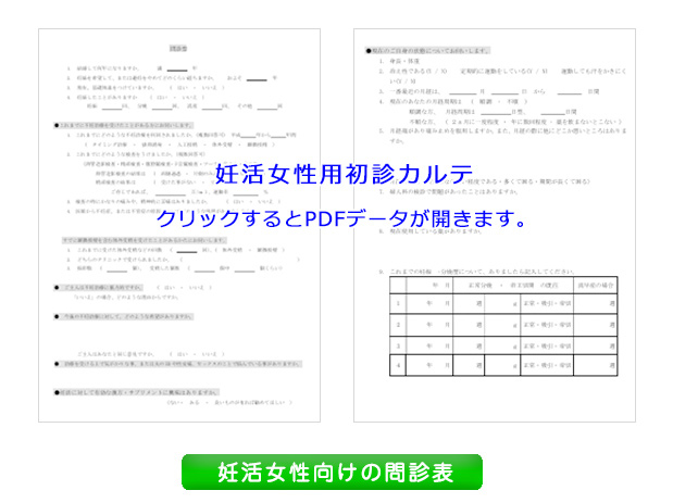 問診票　妊活女性用カルテ

